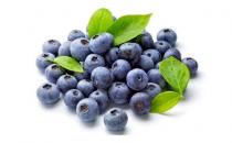 10種食物讓枯燥頭發變亮澤