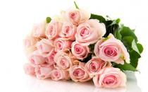 情人節送什么花？情人節送花指南