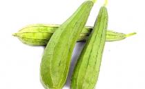 養生吃絲瓜 美容護膚還豐胸