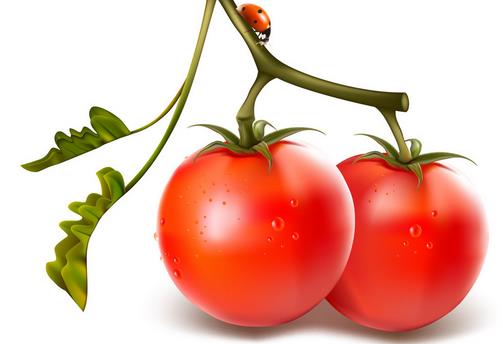 曝光膠原蛋白內(nèi)幕 教你怎么吃能逆齡