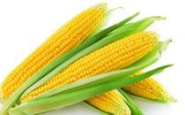 防止掉發厲害的方法 食療絕對靠譜