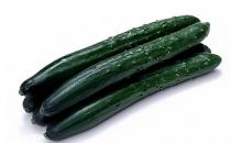 食療作用大 排毒養顏營養食譜是關鍵