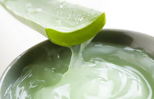 蘆薈能祛痘嗎 自制蘆薈祛痘面膜