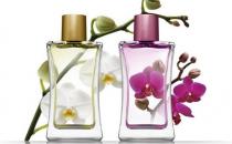 3個妙招鑒別高品質香水