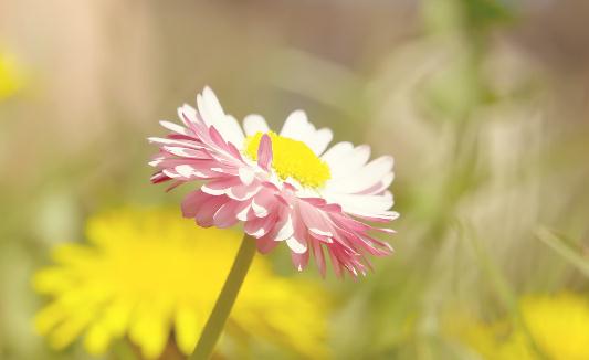 如何防感冒?居家實用生活妙招