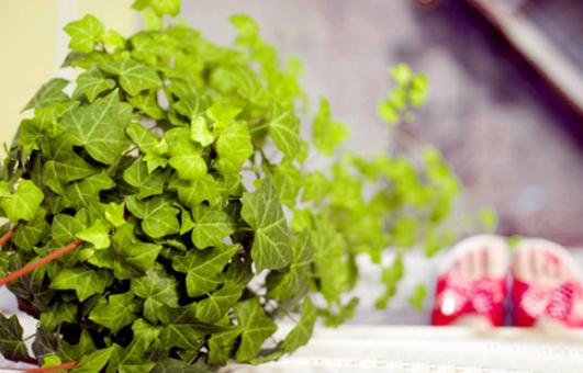 學會這些妙招讓你涼爽過一夏！