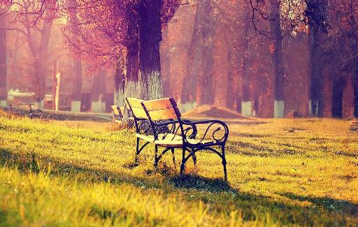 毛衣掉毛怎么辦？10個生活妙招