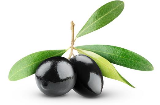 橄欖油能護發？五大護發秘笈