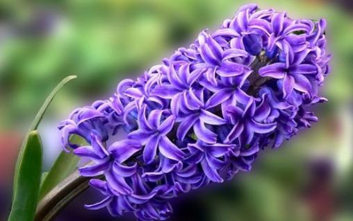 這樣做你的生活更美妙!