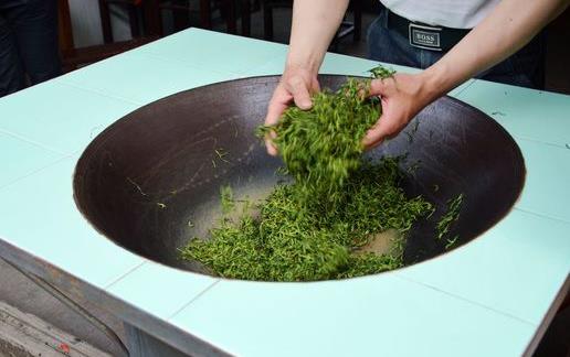 現炒茶至少存放10天后再喝