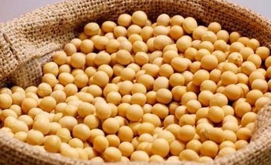 男人多吃黃豆 長壽的8大共同點