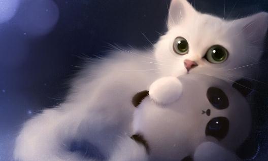 貓糧的選購技巧 給貓咪吃什么最好?