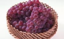 幾種產后補血食材不容小覷