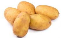 春季吃什么減肥？7種刮油減肥食物推薦