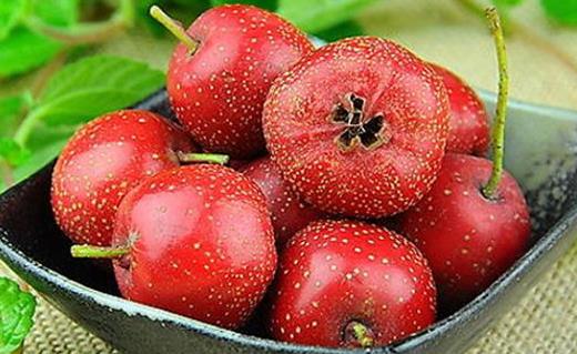 山楂茶為何傷胃 山楂怎么吃比較好?