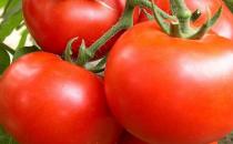 推薦：最養男人的12種食物