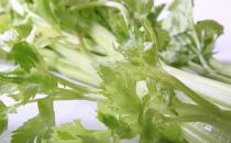 芹菜也分種類 芹菜有哪些藥效？