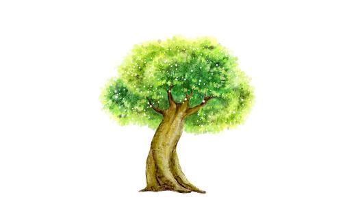 榕樹是怎樣的？怎么識別榕樹？