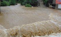 洪水帶來傳染病我們要如何應對？