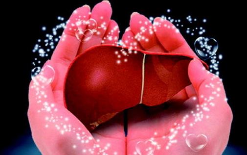 女性養肝必備七種營養物質