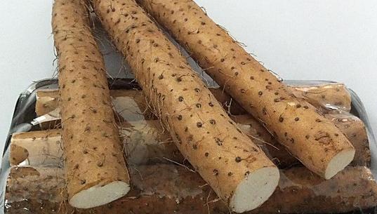 補血“三寶”讓女人更美麗