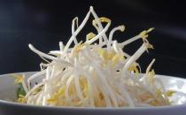 哪些蔬菜適宜發(fā)芽了吃？