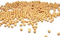 女性春季養生必吃食物 你吃了嗎？