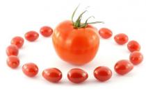 寒性體質應該要如何來減肥