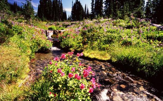 Hiking運動是什么意思?Hiking需要什么裝備?