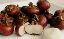 春季吃荸薺營養又健康的選擇