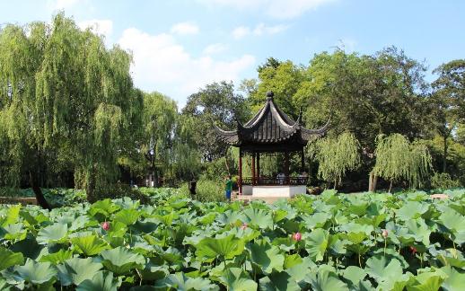 不得不去的經典園林:拙政園