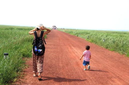 親子游如何讓寶寶玩得開心?