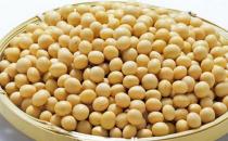 呵護女性乳房健康的9種食物