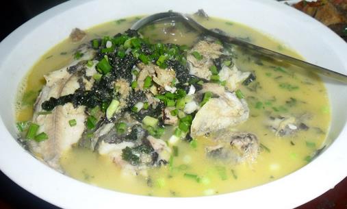 春季吃什么魚(yú)最營(yíng)養(yǎng)?