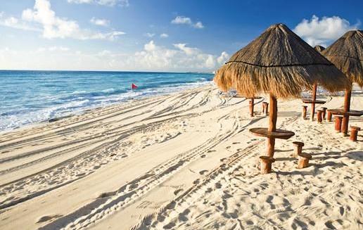 到墨西哥來(lái)看看仙人掌