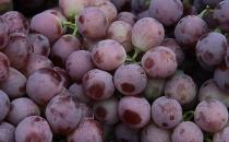 孕婦吃什么補血好？補血的食物與食療方