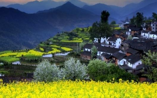 與春天來約會:婺源歸來不看村