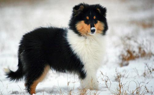 實用家居妙招:去除白色家具的污跡