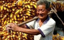 重體力活會導致精子質量低