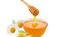 老人養生要多吃蜂蜜