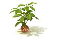 ?居家省錢妙招：洗內衣的方法