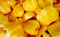 菠蘿蜜是什么味道？菠蘿蜜吃多了會怎樣？