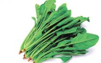 春季養生保健9種蔬菜