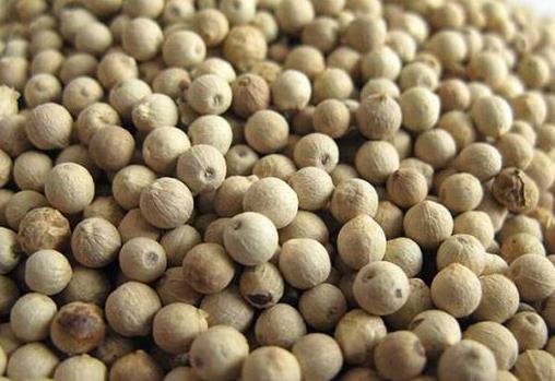 胡椒有什么營養價值?黑白胡椒有什么區別?