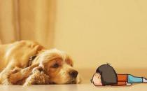 盤點家庭細菌的危害