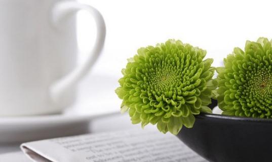 凈化器如何保養和清潔?