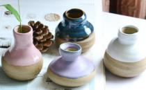 窗型花器的搭配方法和保養技巧