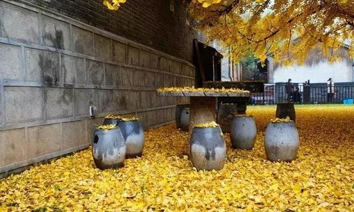 優(yōu)秀管理者:?jiǎn)T工總是無故曠工怎么辦?