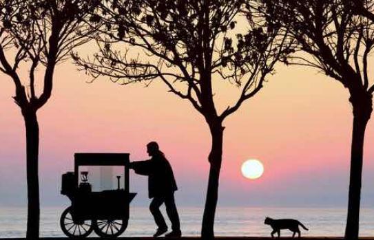 這些動(dòng)作表明了他的心思你了解嗎?