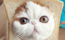 職場女性如何應對不平等？